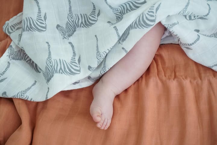 Collection of premium sustainable products featuring quality designs for babies and toddlers