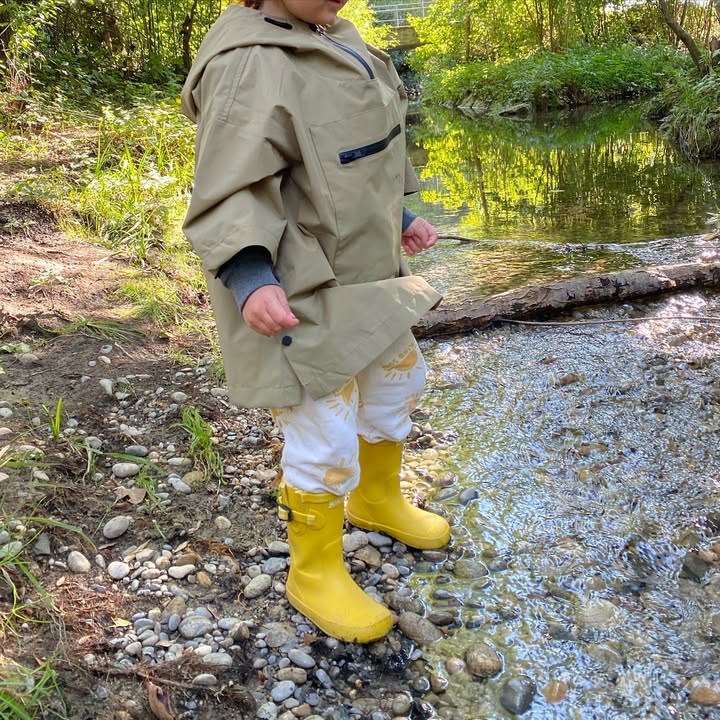 Premium collections showcasing essential baby products